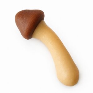 Magic Mushroom